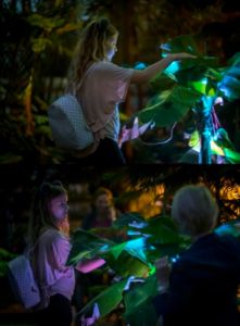 Patryk Lichota, Installation Cyborganic, Philodenron, interaktive Sensorik