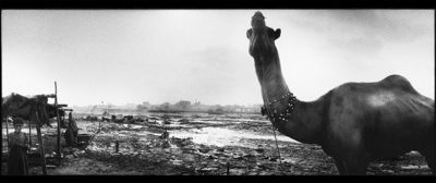 Wolf Böwig, Pakistan, Fotografie Lambda Fotopapier, 1994