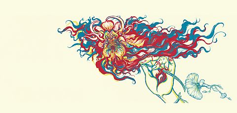 Colour Haze