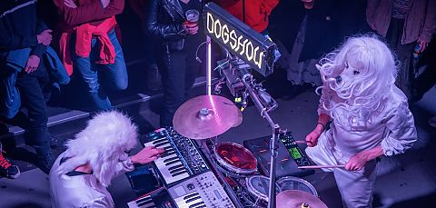 Dogshow