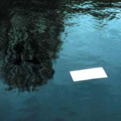 Vexierung – ein Naturspiel