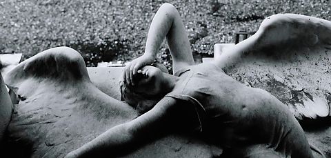 Transmission - The Sound of Joy Division