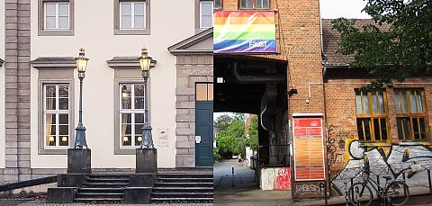 Vom Busch in die Faust